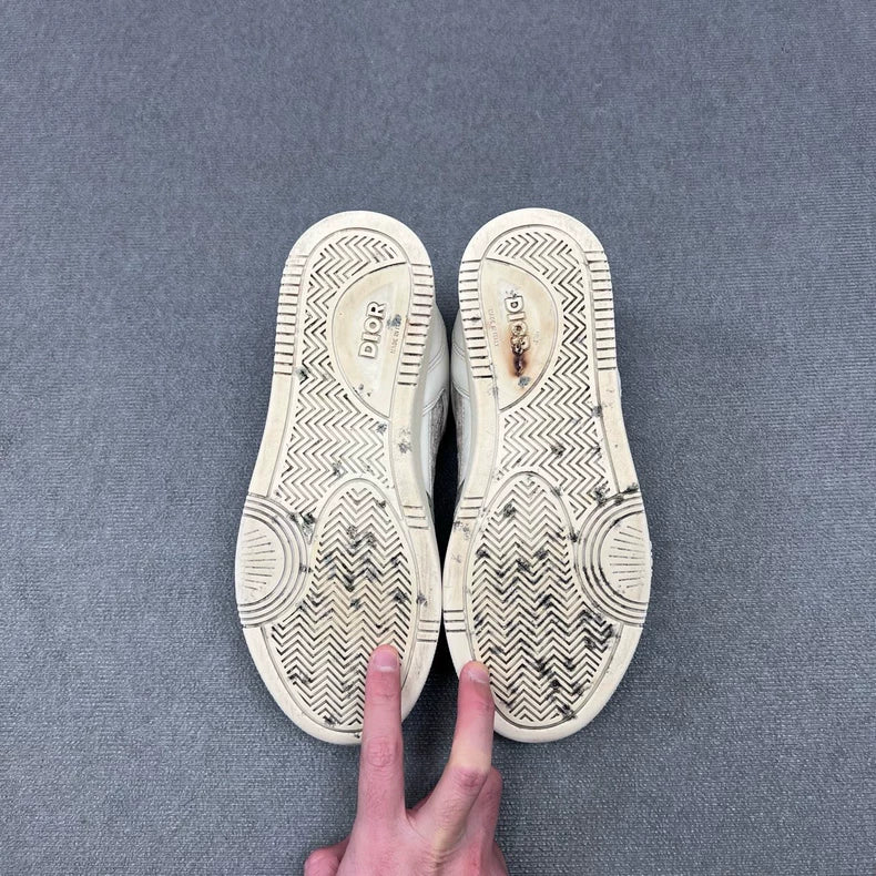 Dior B27 Logo Sneakers in Grey White