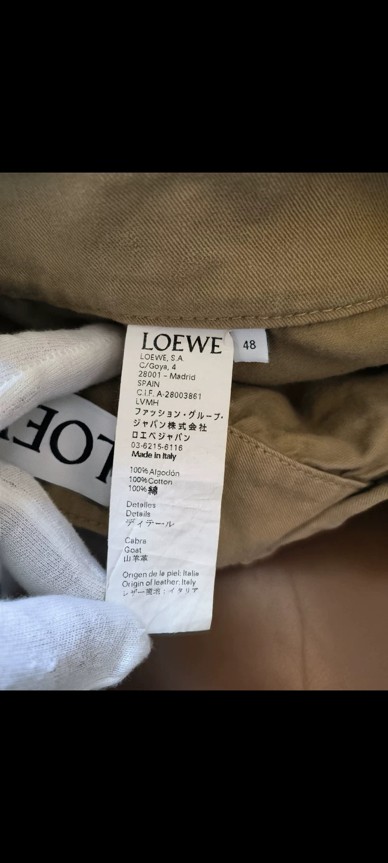 LOEWE Hand-painted Lion Print Shorts-yf