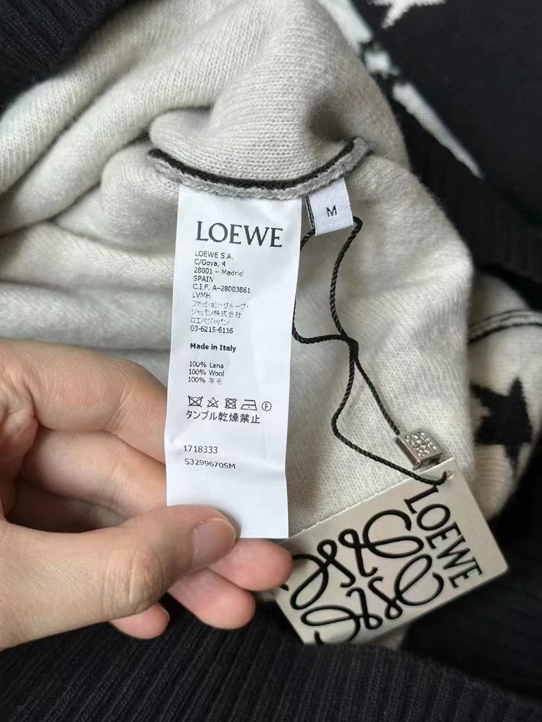 Loewe Star Pattern Turtleneck Sweater