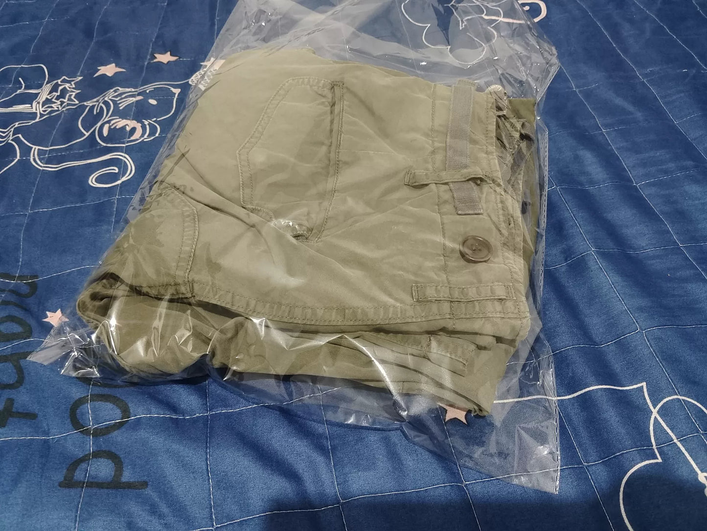 visvim 22AW Eiger CD Green Cargo Pants