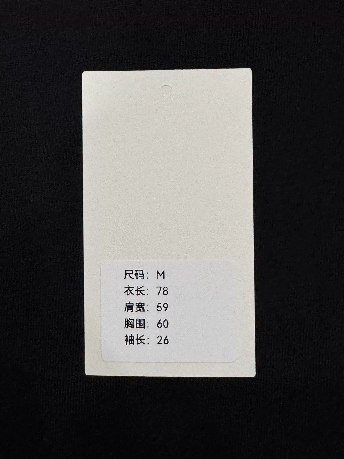 Balenciaga Short Sleeve Embroidered T-Shirt M