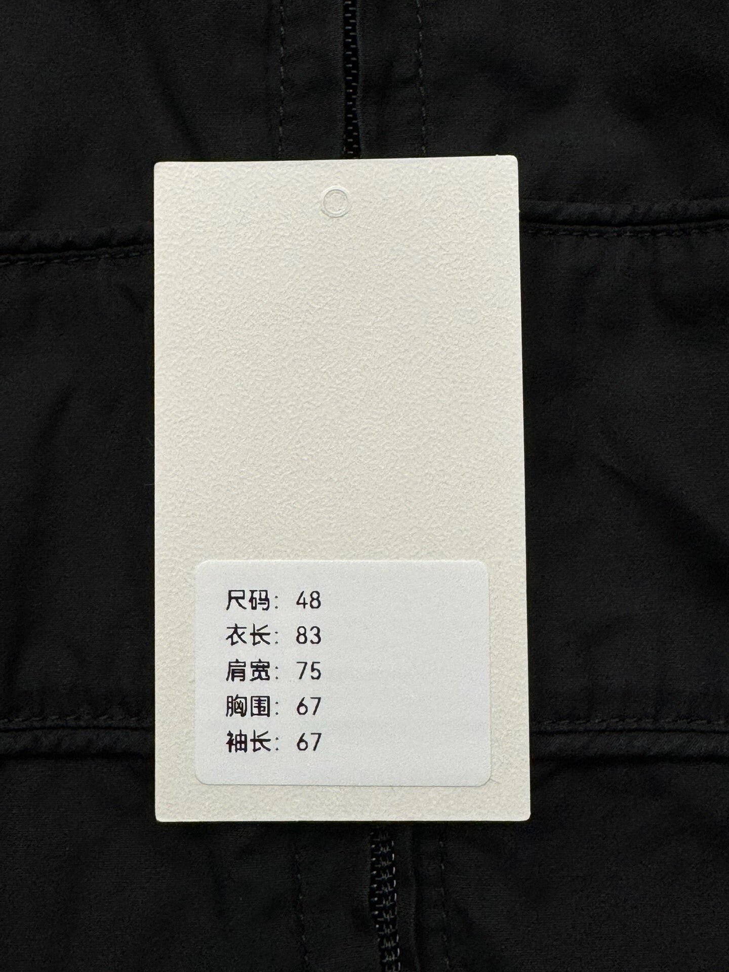 Balenciaga Embroidered Jacket in Black