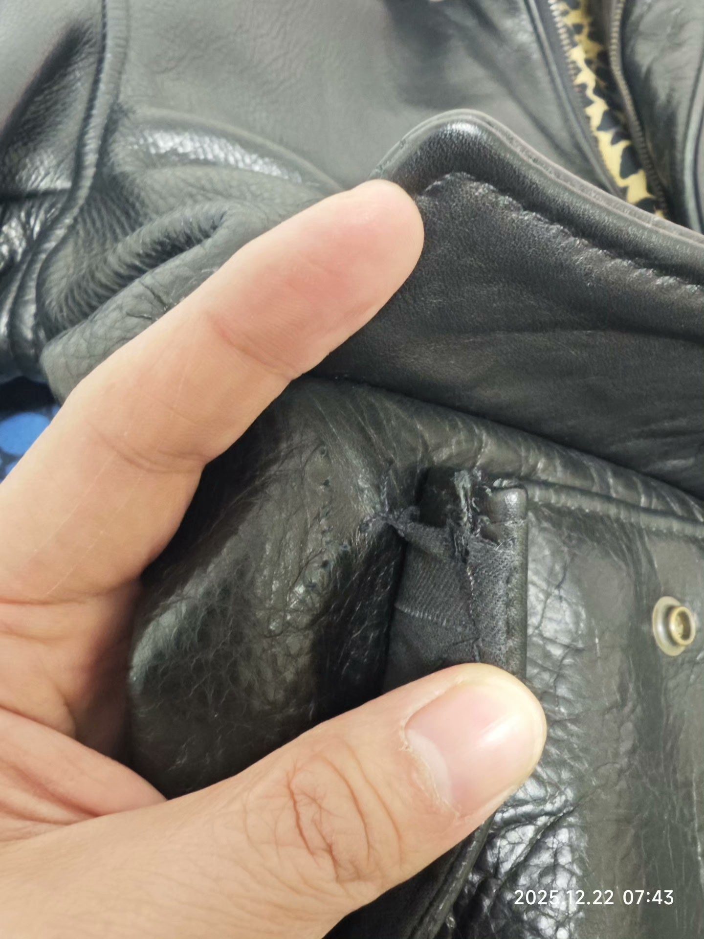 Supreme x Schott A2 Leather Jacket
