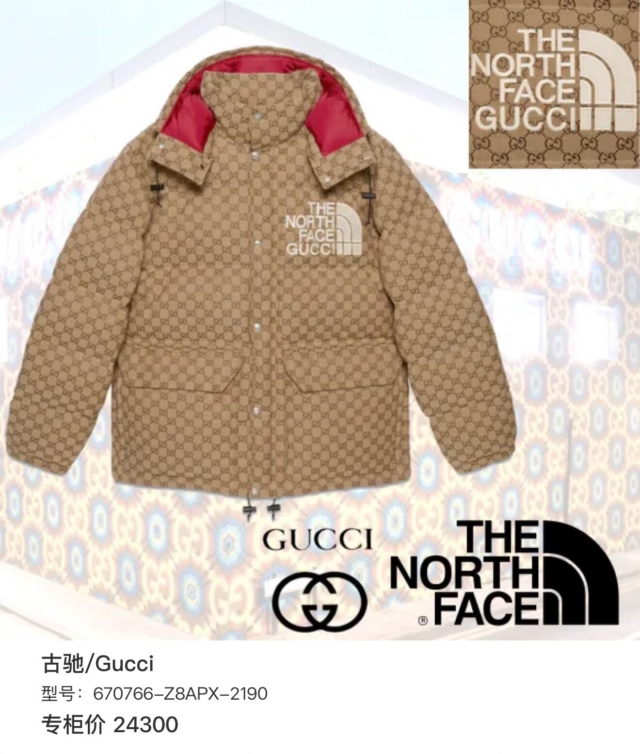 Gucci x The North Face Puffer Jacket