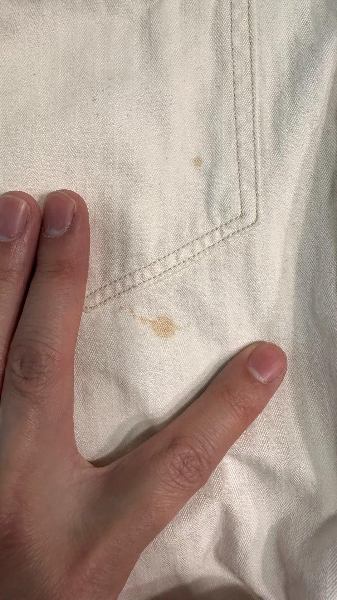 freewheelers union specia