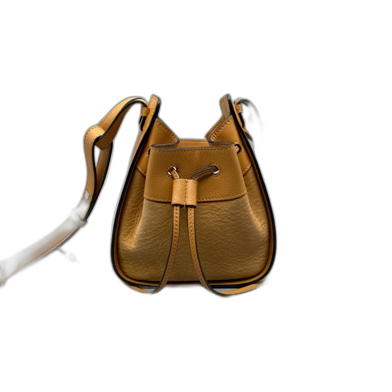 Loewe Hammock Mini Crossbody Bag