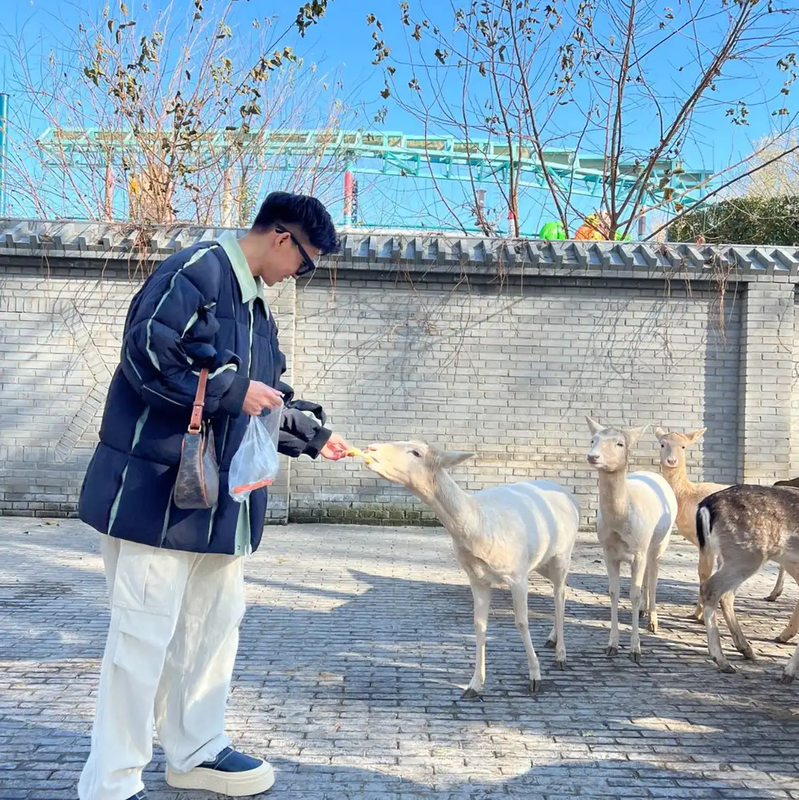 Prada Men's Casual Pants in Beige