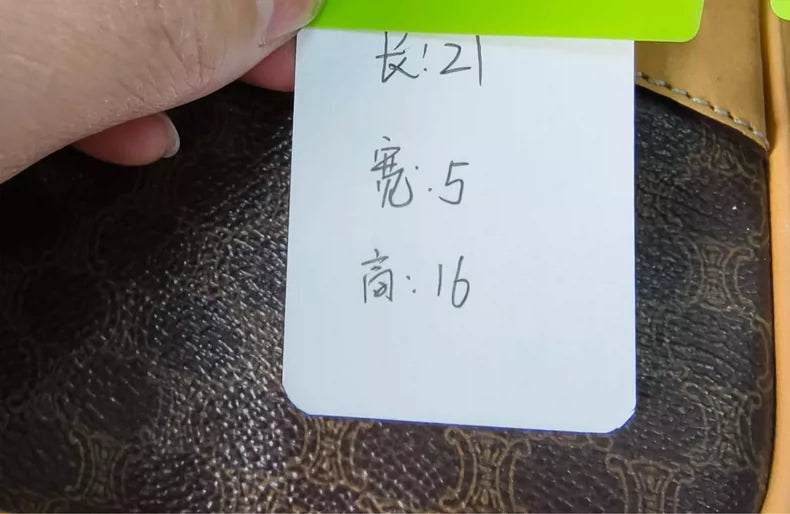 Celine Logo Camera Bag with Dust Bag