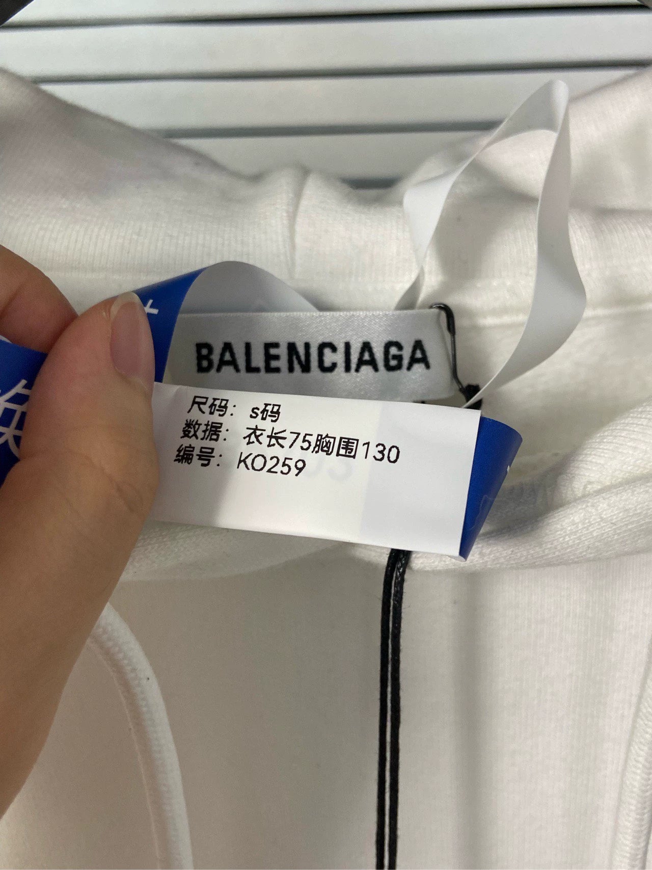 Balenciaga Crown Wheat Ear Logo Letter White Hoodie