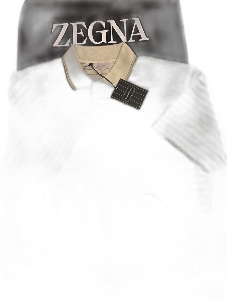 Ermenegildo Zegna Men's Short Sleeve Polo