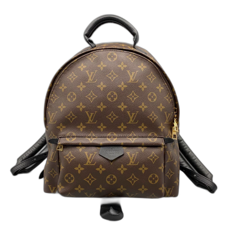 Classic Louis Vuitton Backpack