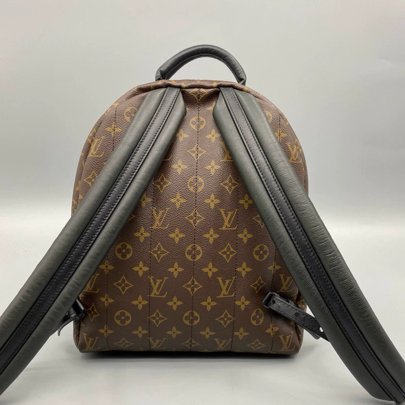 Classic Louis Vuitton Backpack