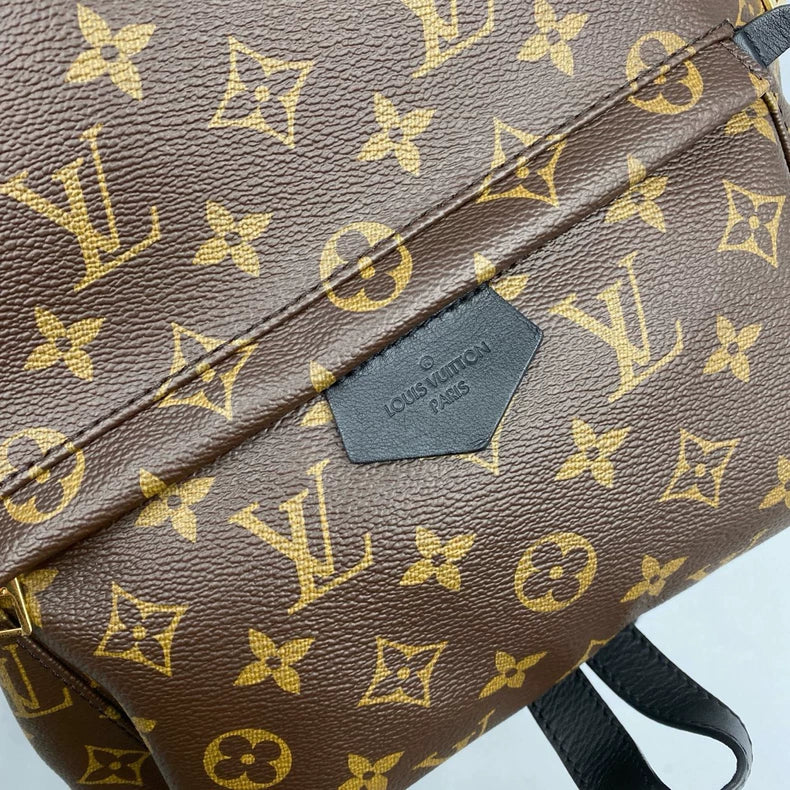 Classic Louis Vuitton Backpack