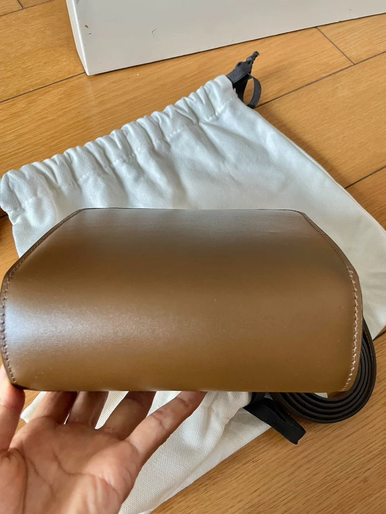 Celine Classic Box Bag in Brown Color