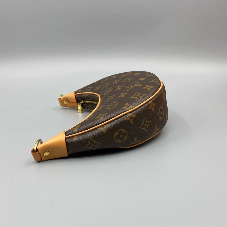 Louis Vuitton Monogram Moon Bag