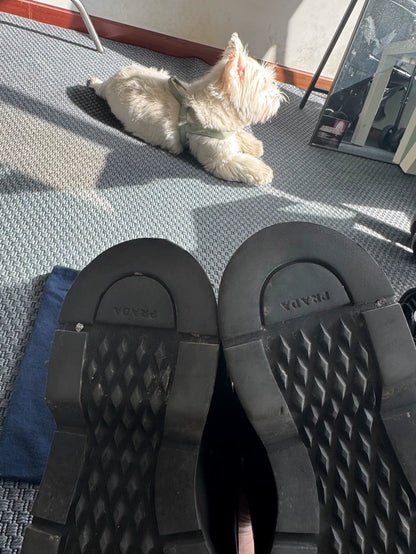 Prada Double Layer Derby Shoes