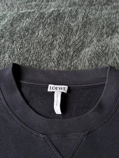 Loewe Colorful Embroidered Sweatshirt