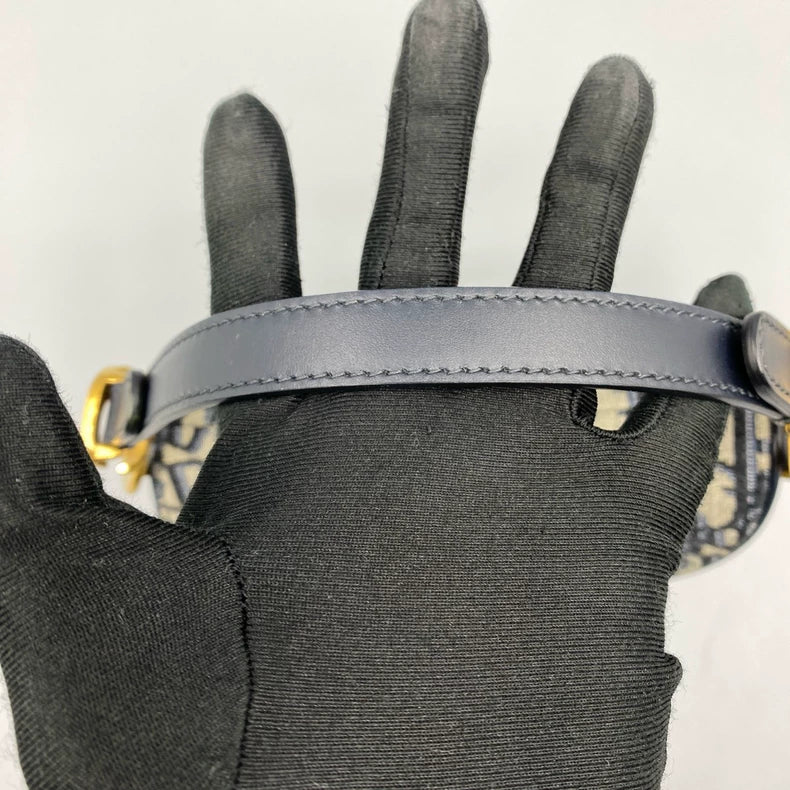 Dior Saddle Small Handbag