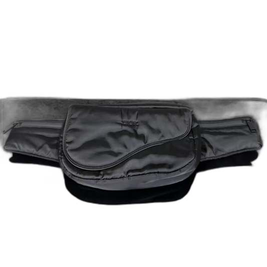 Dior Saddle Waist Bag