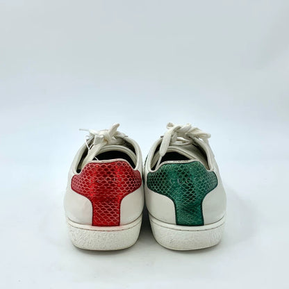 Gucci Ace Lowtop Sneakers in White