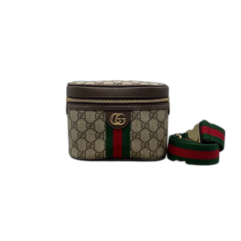 Gucci Ophidia Cosmetic Case Crossbody Bag