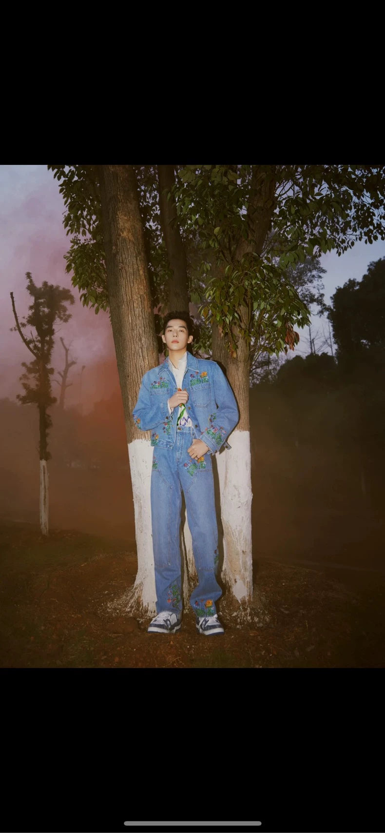 Louis Vuitton Floral Embroidered Denim Pants