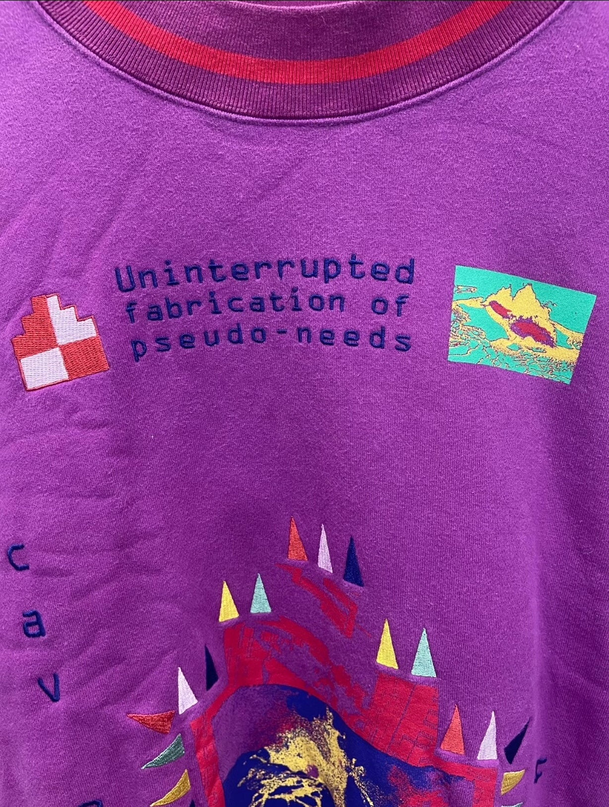 c.e cavempt uninterrupted embroidered sweatshirt