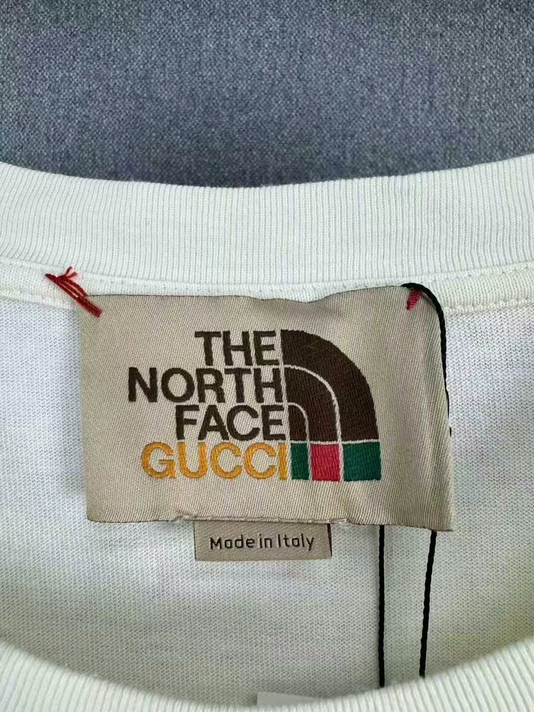 gucci x the north face printed t-shirt
