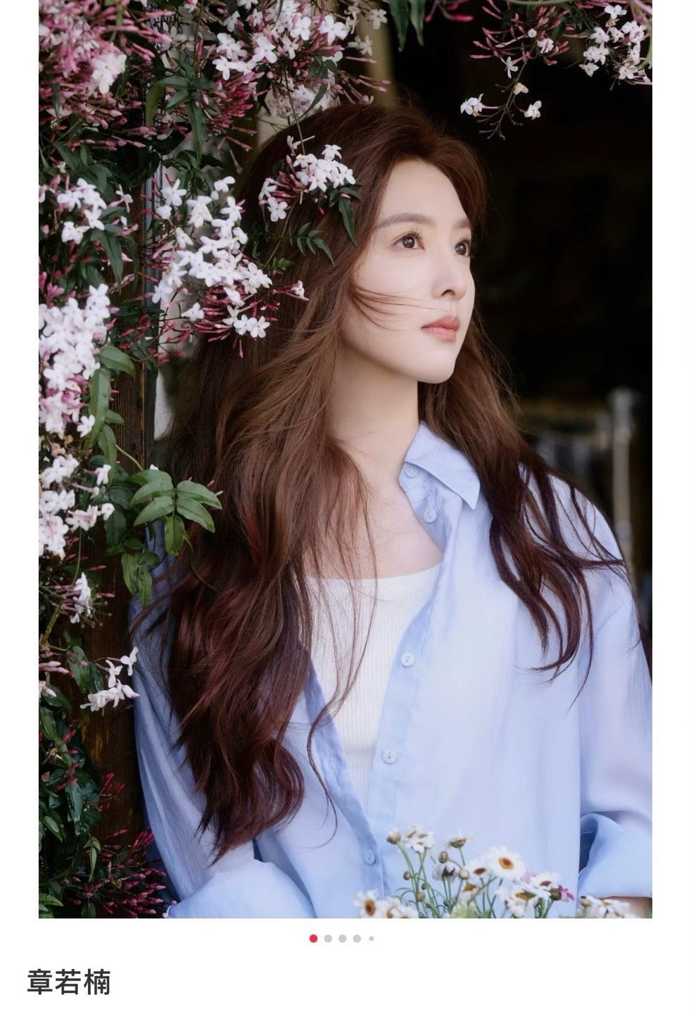 gucci light blue embroidered bee long sleeve shirt