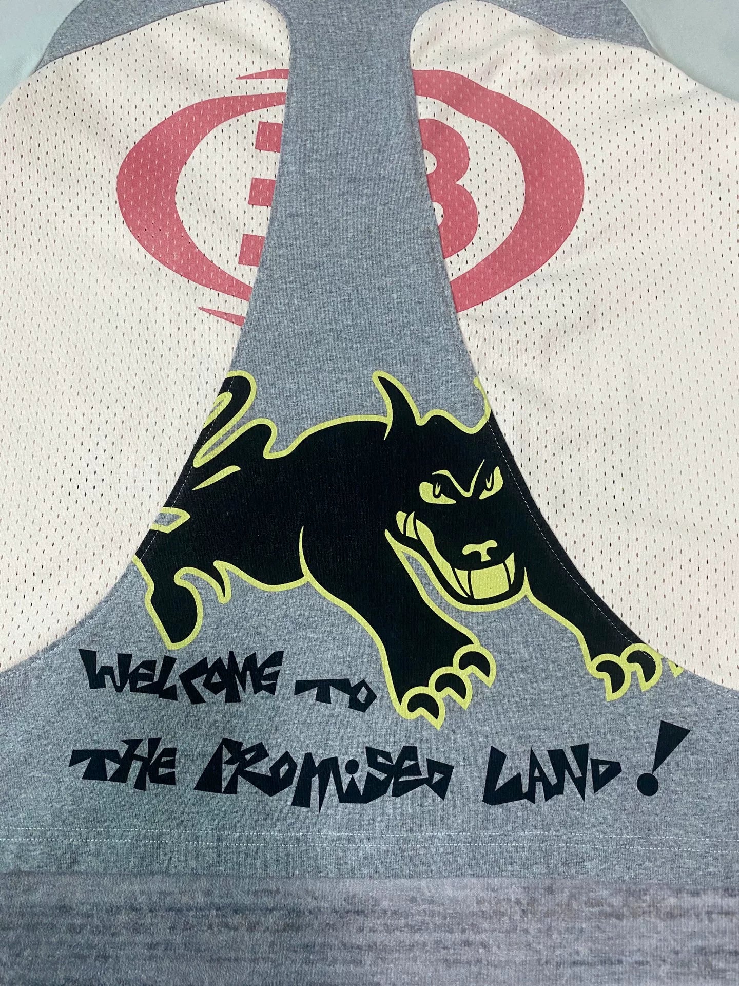 namesake color block basketball long sleeve tee