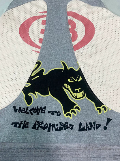 namesake color block basketball long sleeve tee