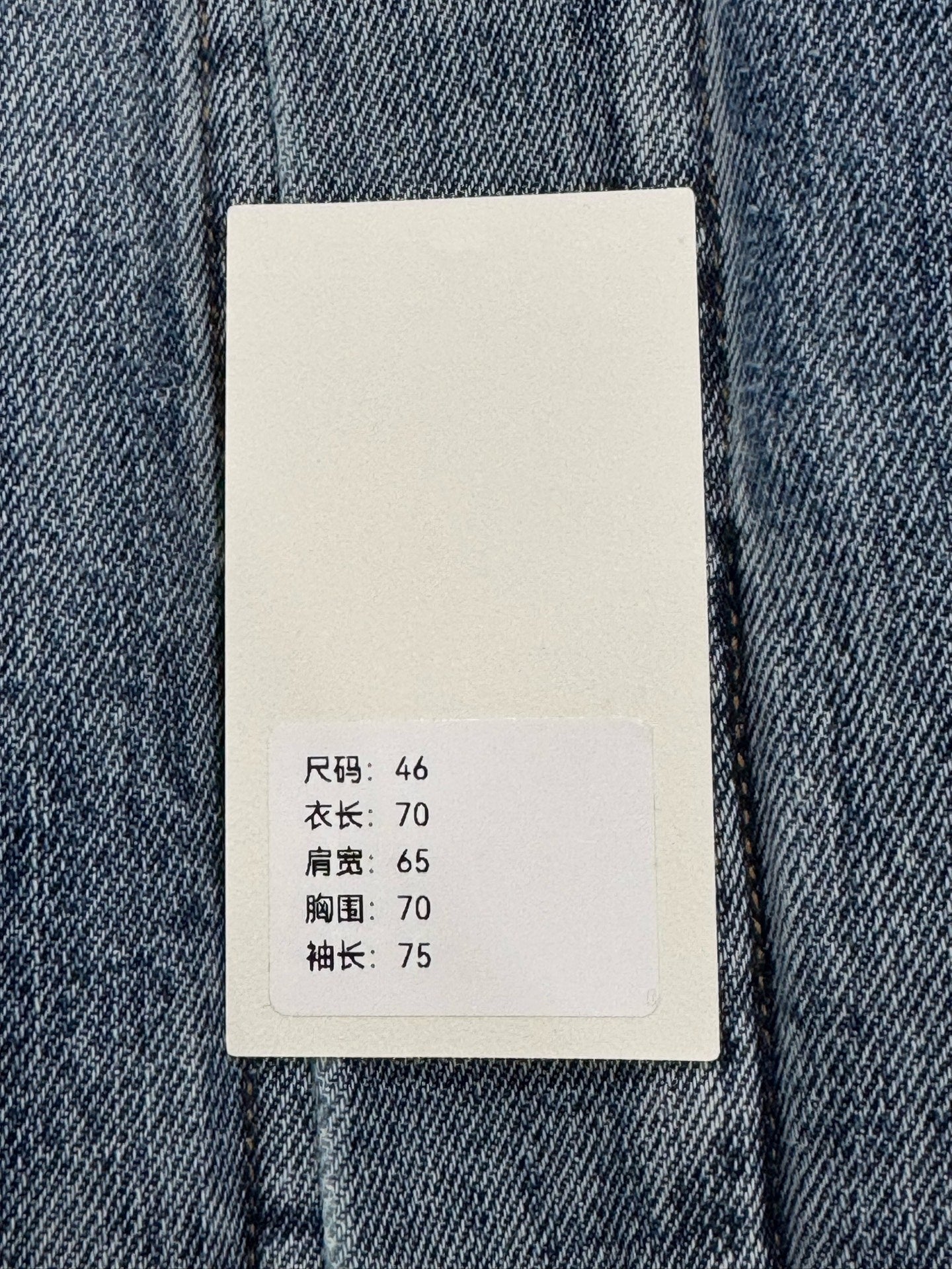 Balenciaga Double-Sided Denim Jacket Year of the Tiger