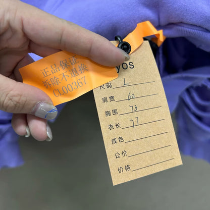 balenciaga logo hoodie in lavender color