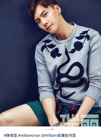 gray snake logo embroidered sweatshirt