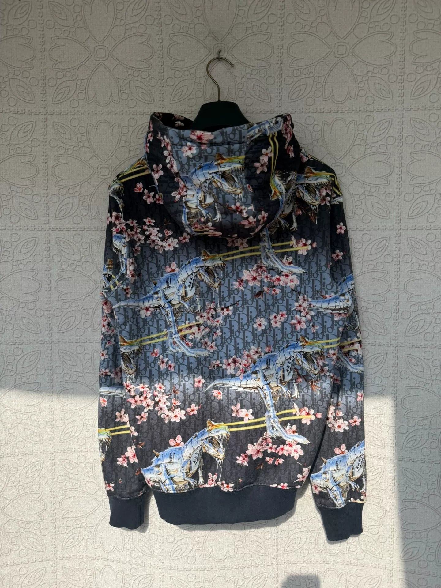dior x sorayama dinosaur printed hoodie