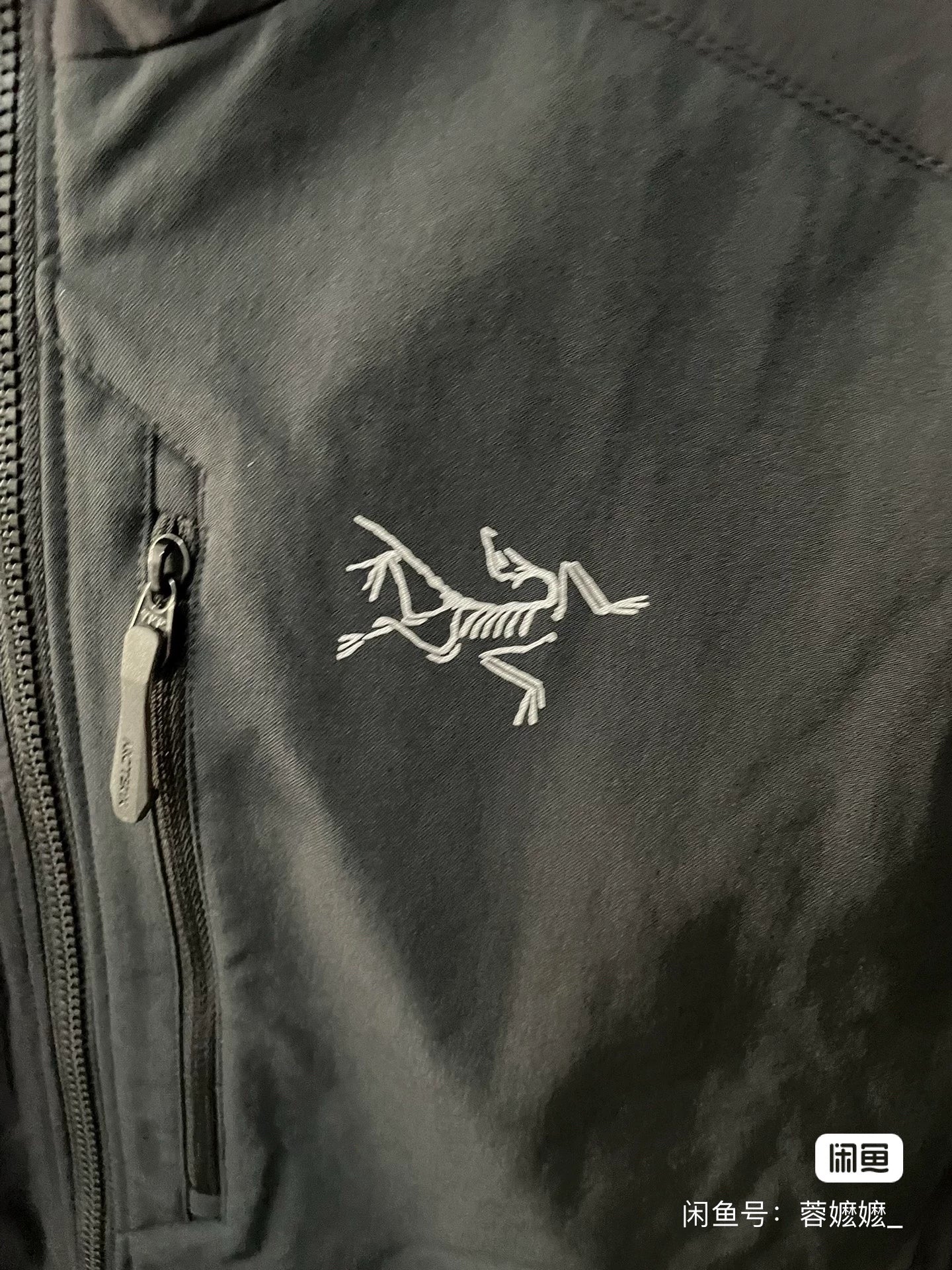 Arc'teryx Proton FL Hoody Fleece