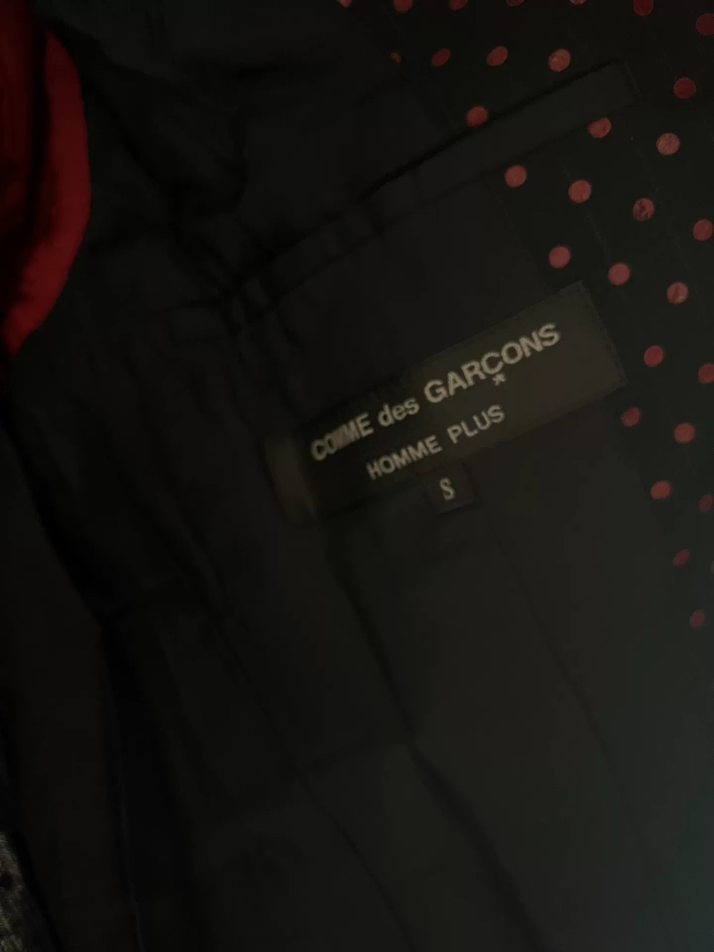 Comme des Garcons Runway Polka Dot Wool Coat