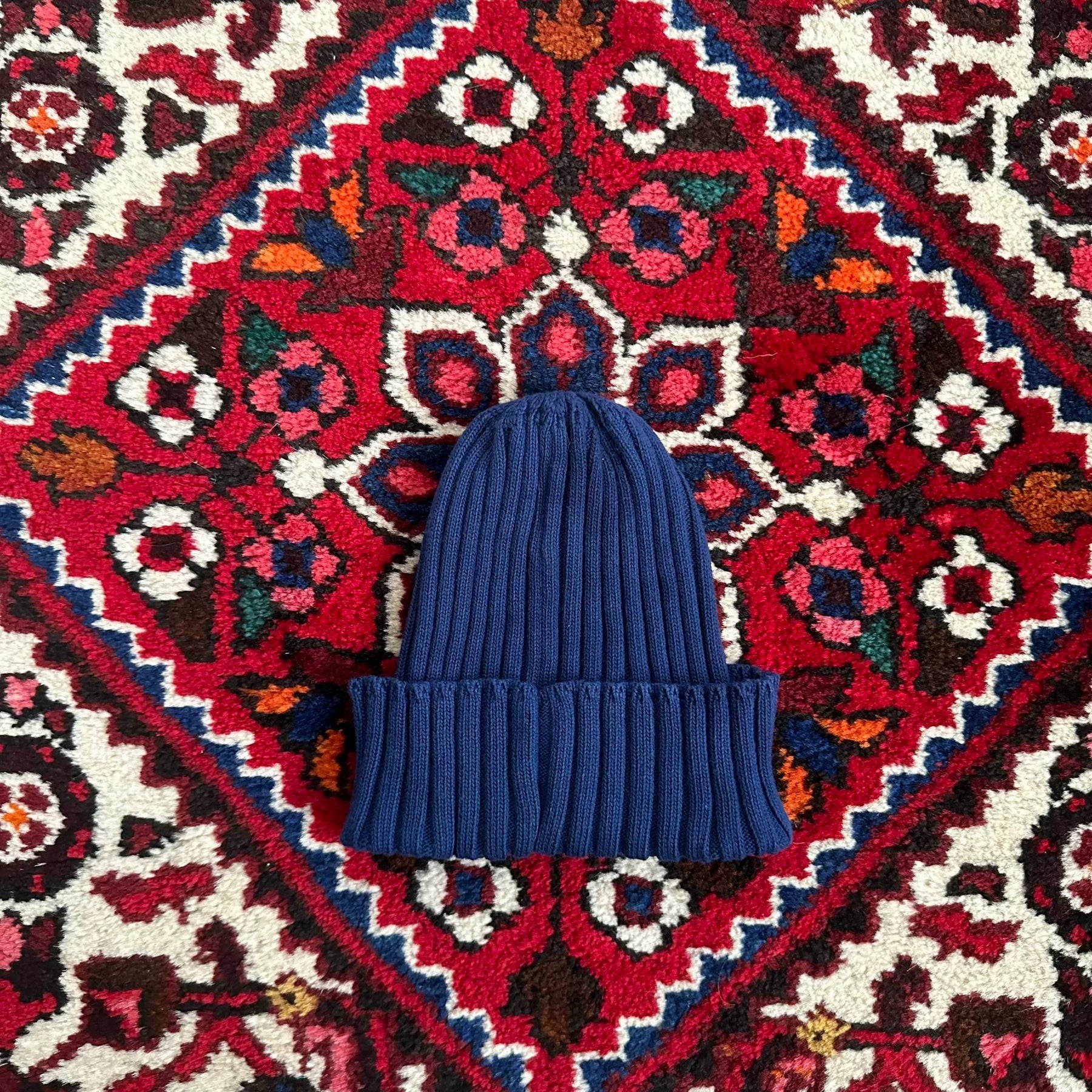 WTAPS 16SS Beanie