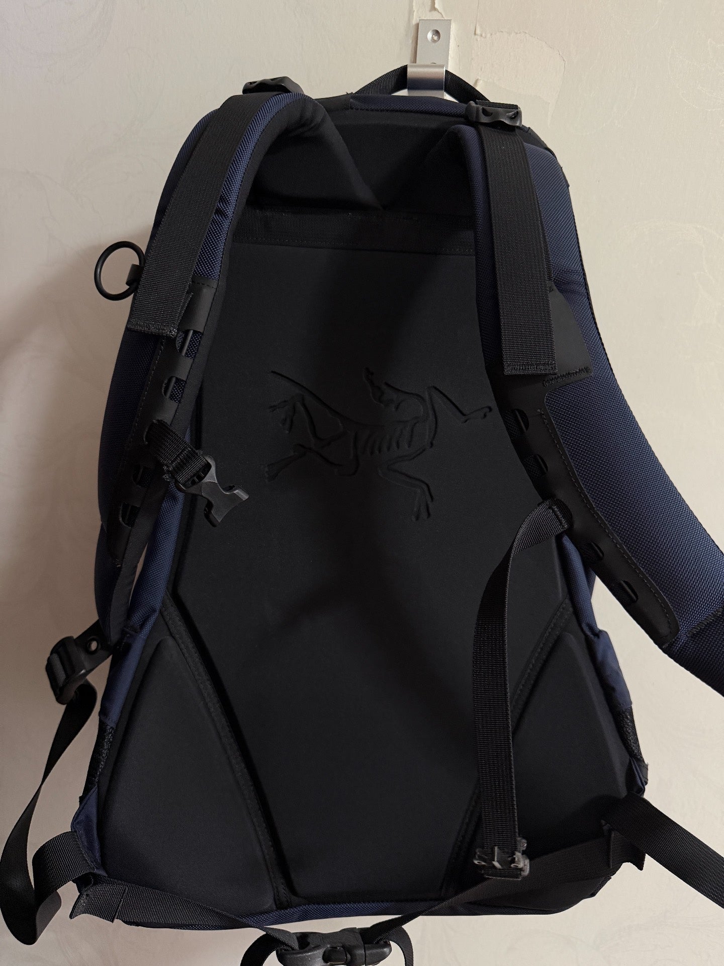Arc'teryx Arro22 Outdoor Backpack