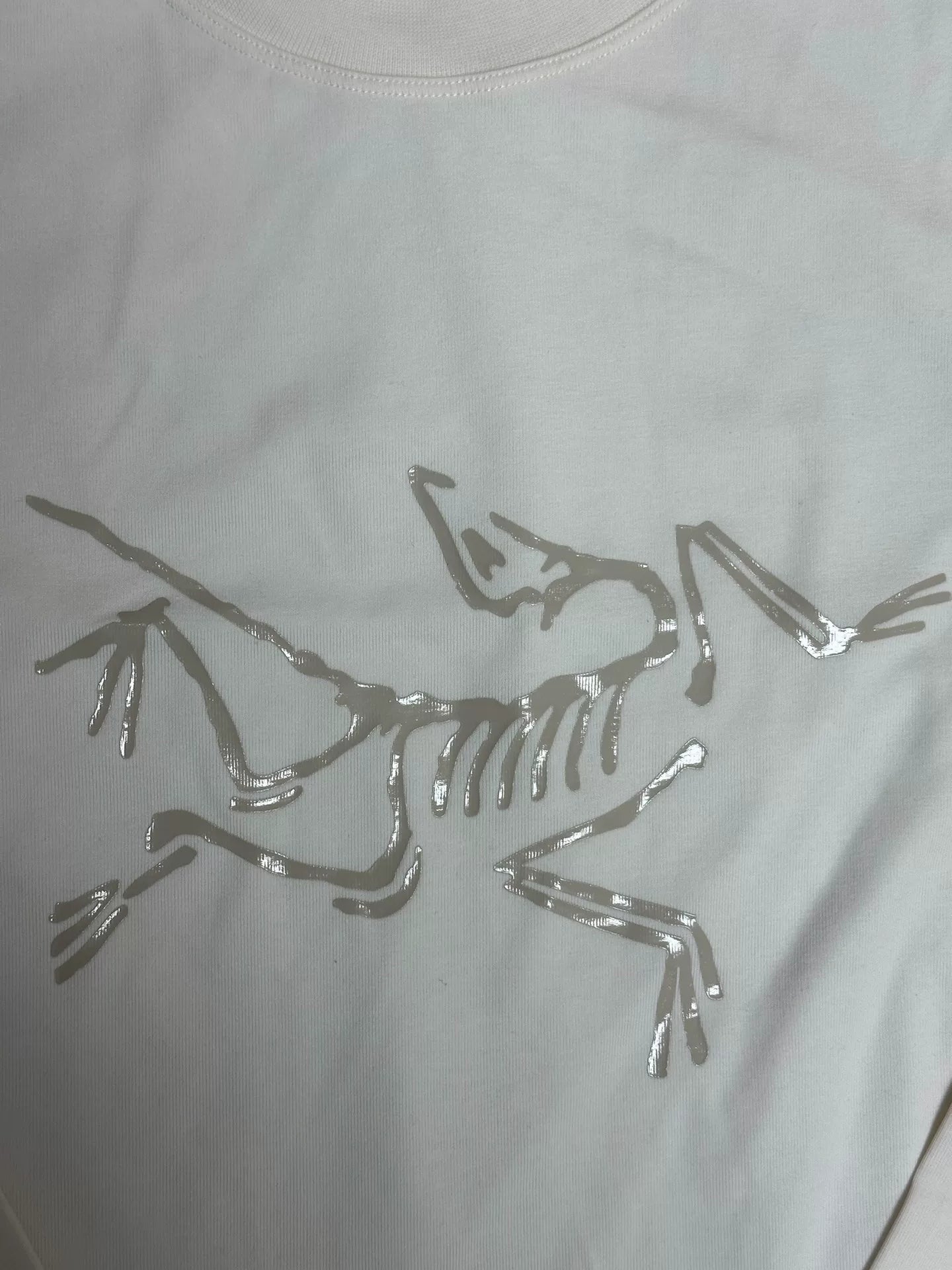 Arc'teryx Logo Print Crewneck Long Sleeve T-shirt