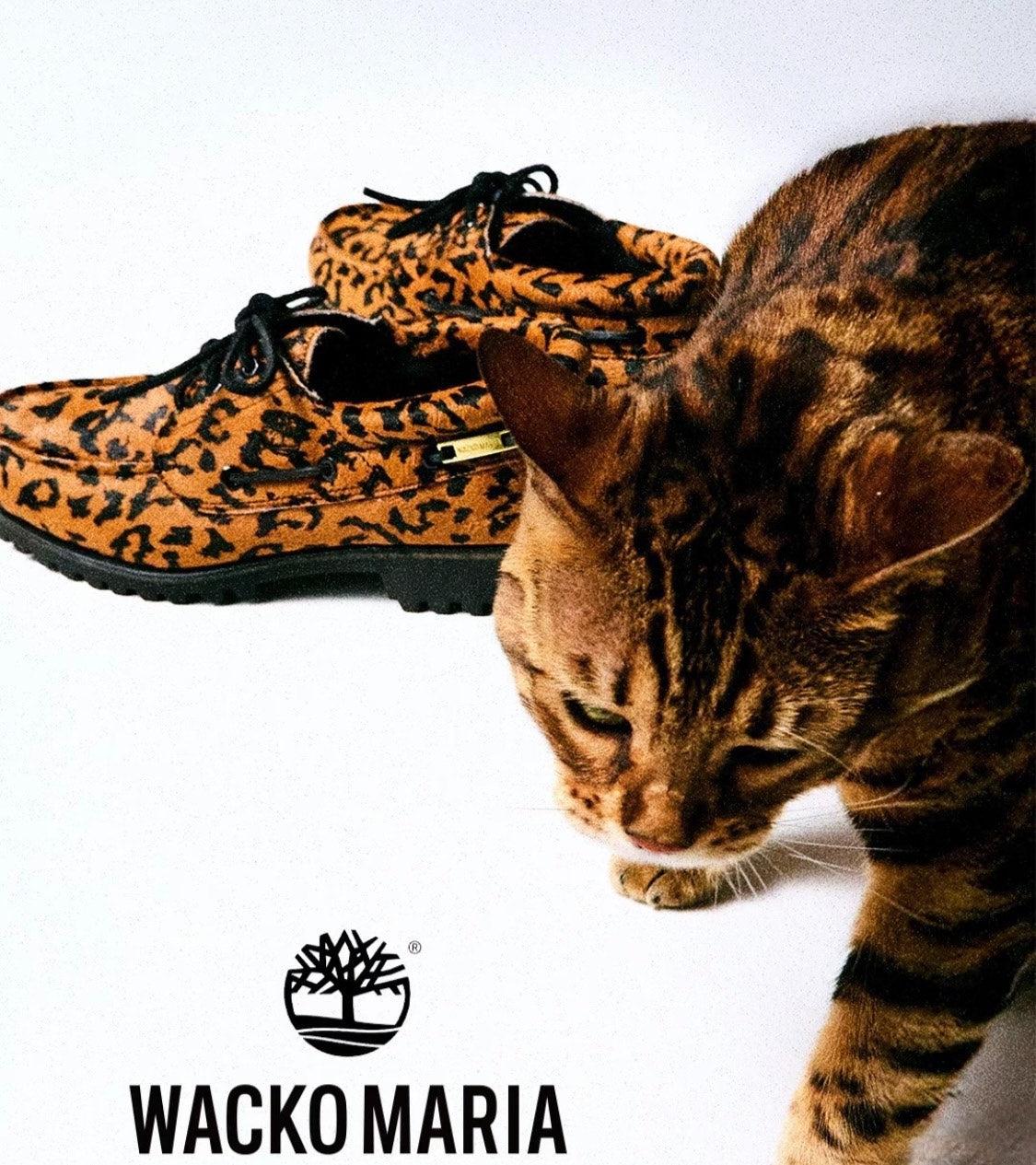 Timberland x Wacko Maria Boat Shoes