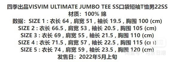 VISVIM 19SS JUMBO TEE S/S SUN WHITE