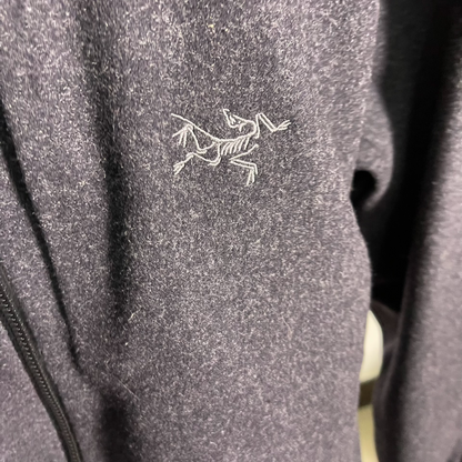Arcteryx Sawyer Wool Hoody Men's