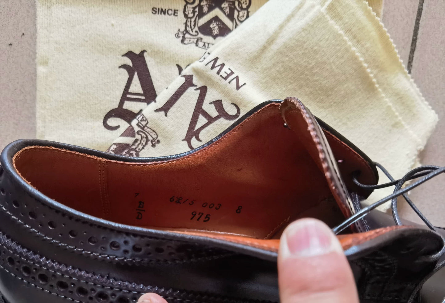 Alden Handmade Men's Dress Shoes in Brown