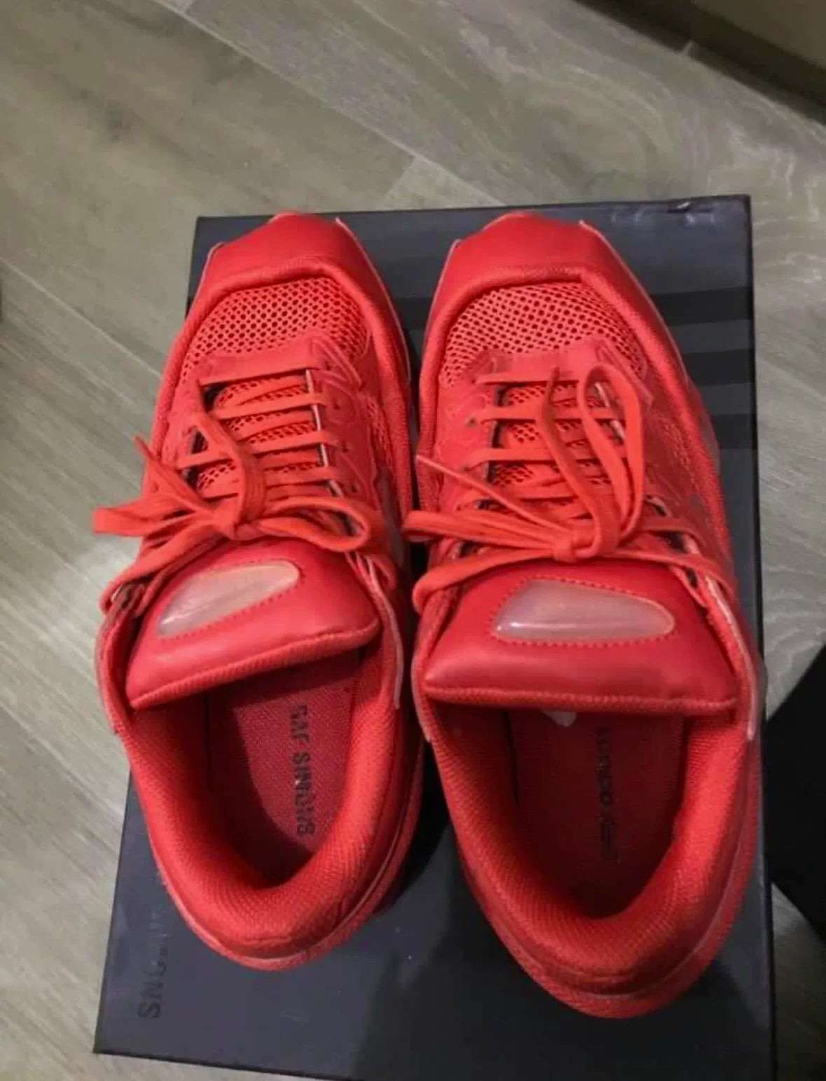 Raf Simons x Adidas Ozweego