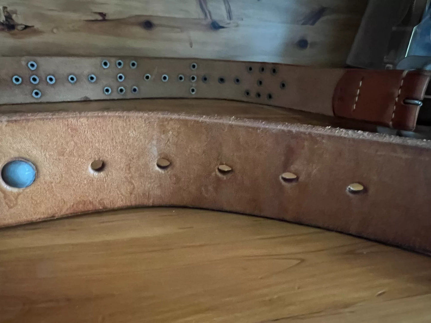 sugar cane genuine leather studded belt