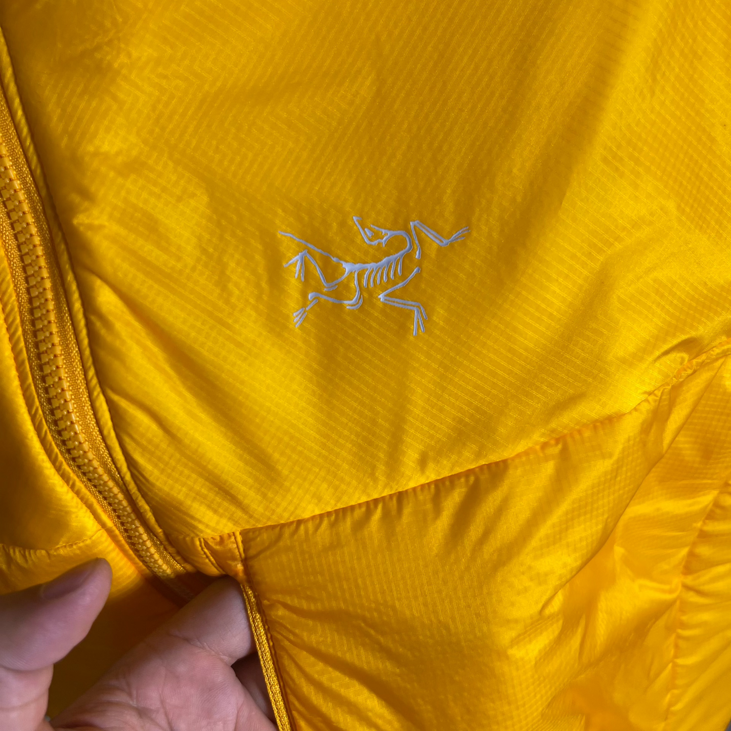Arcteryx Men's Solid High Neck Zip Vest