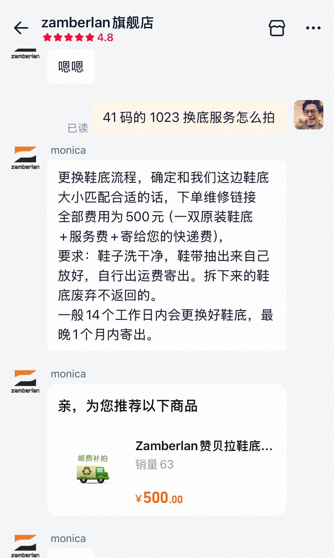 Zamberlan Hiking Shoes Size 41