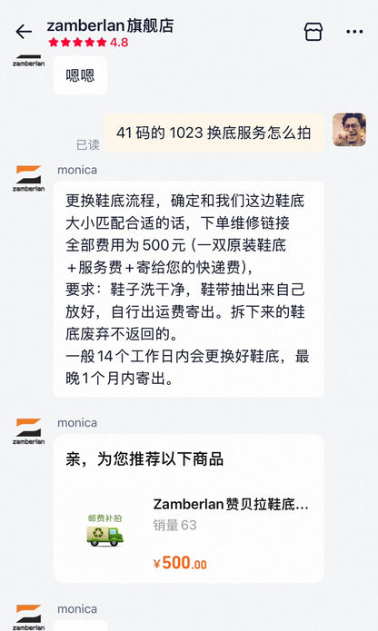 Zamberlan Hiking Shoes Size 41