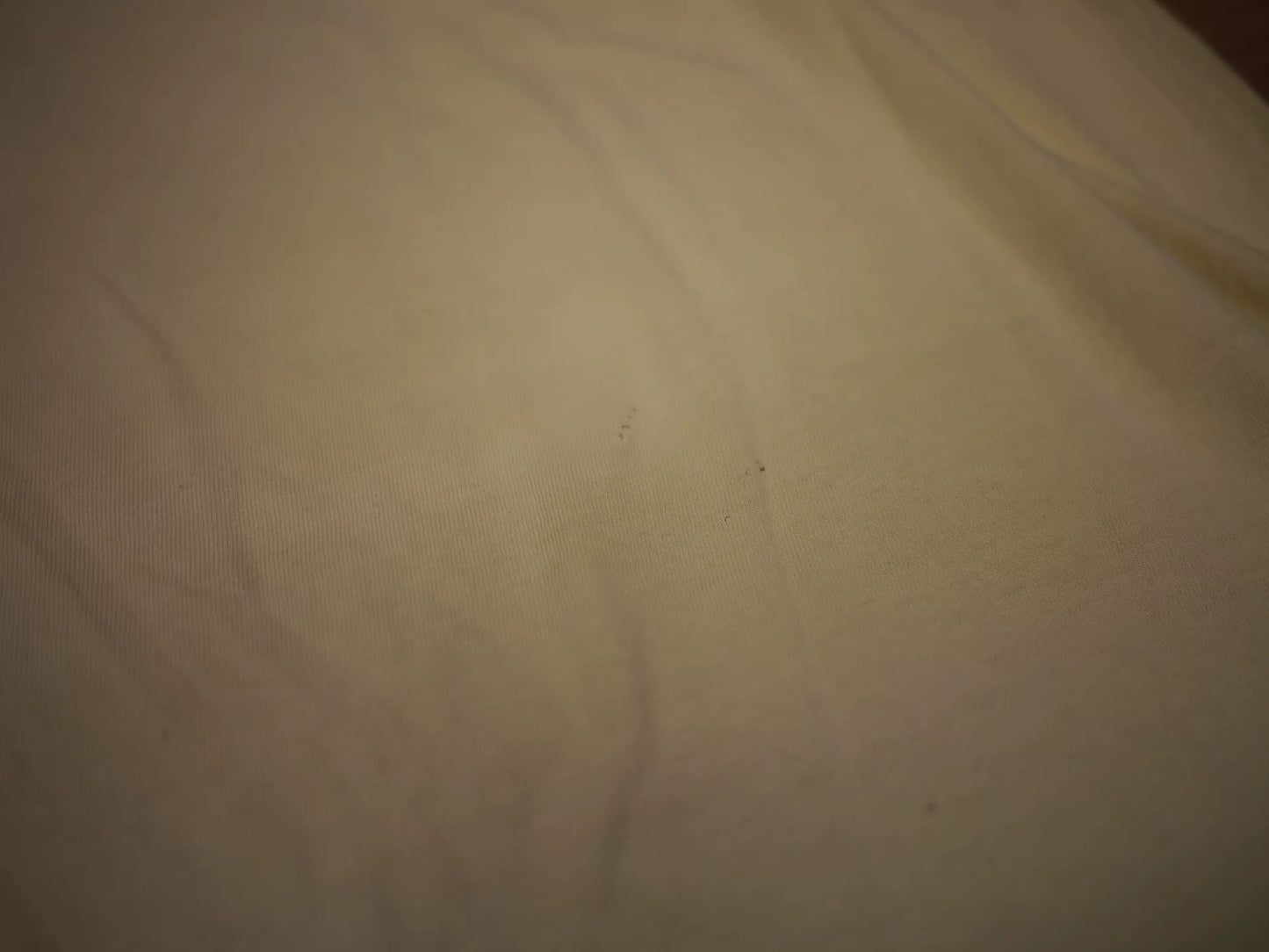24SS VISVIM AMPLUS TEE CRASH